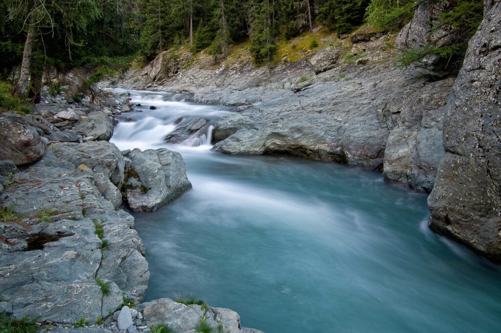 torrent, river, forest